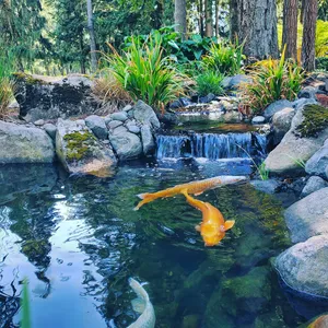 Water Feature Services — Earthworks Landscape Service