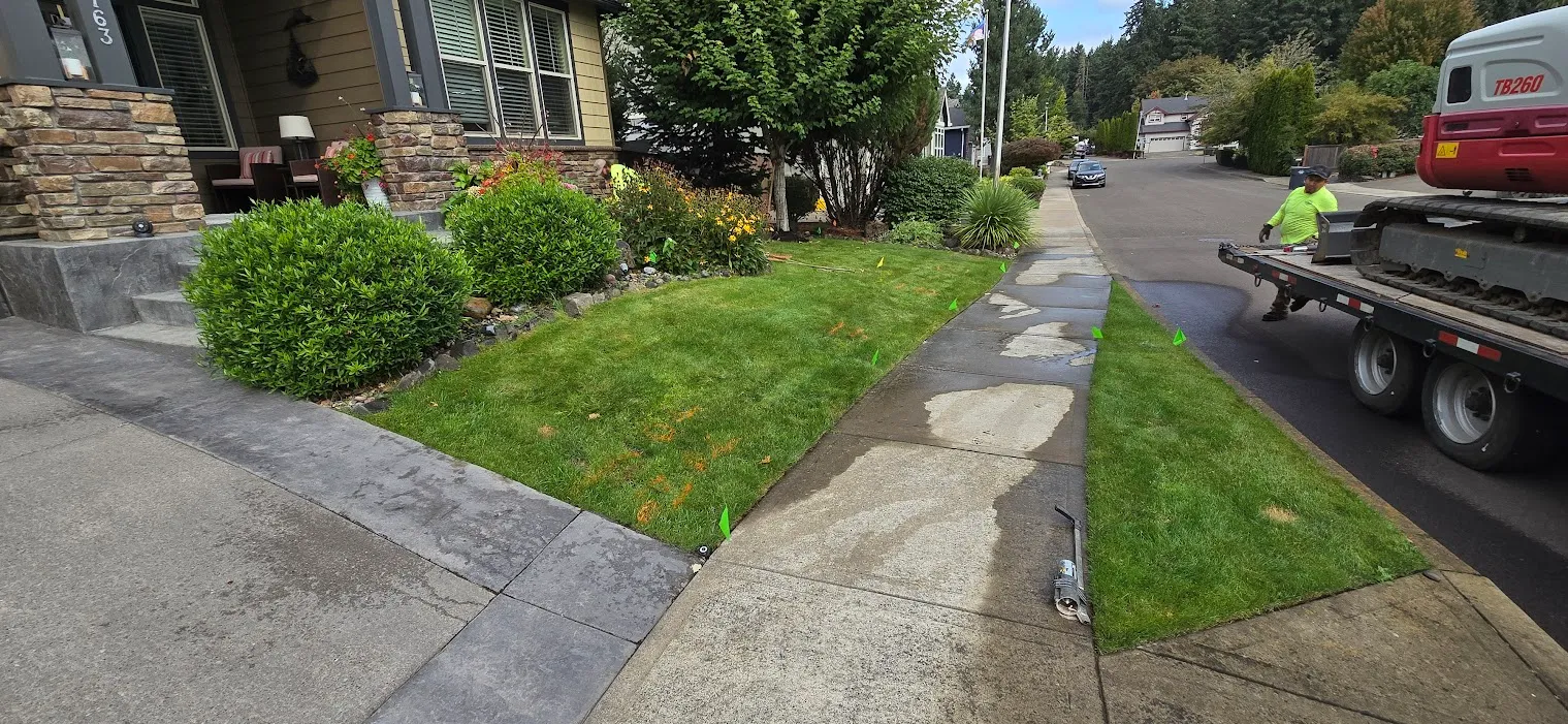 Flat front-yard lawn marked with flags before the project began